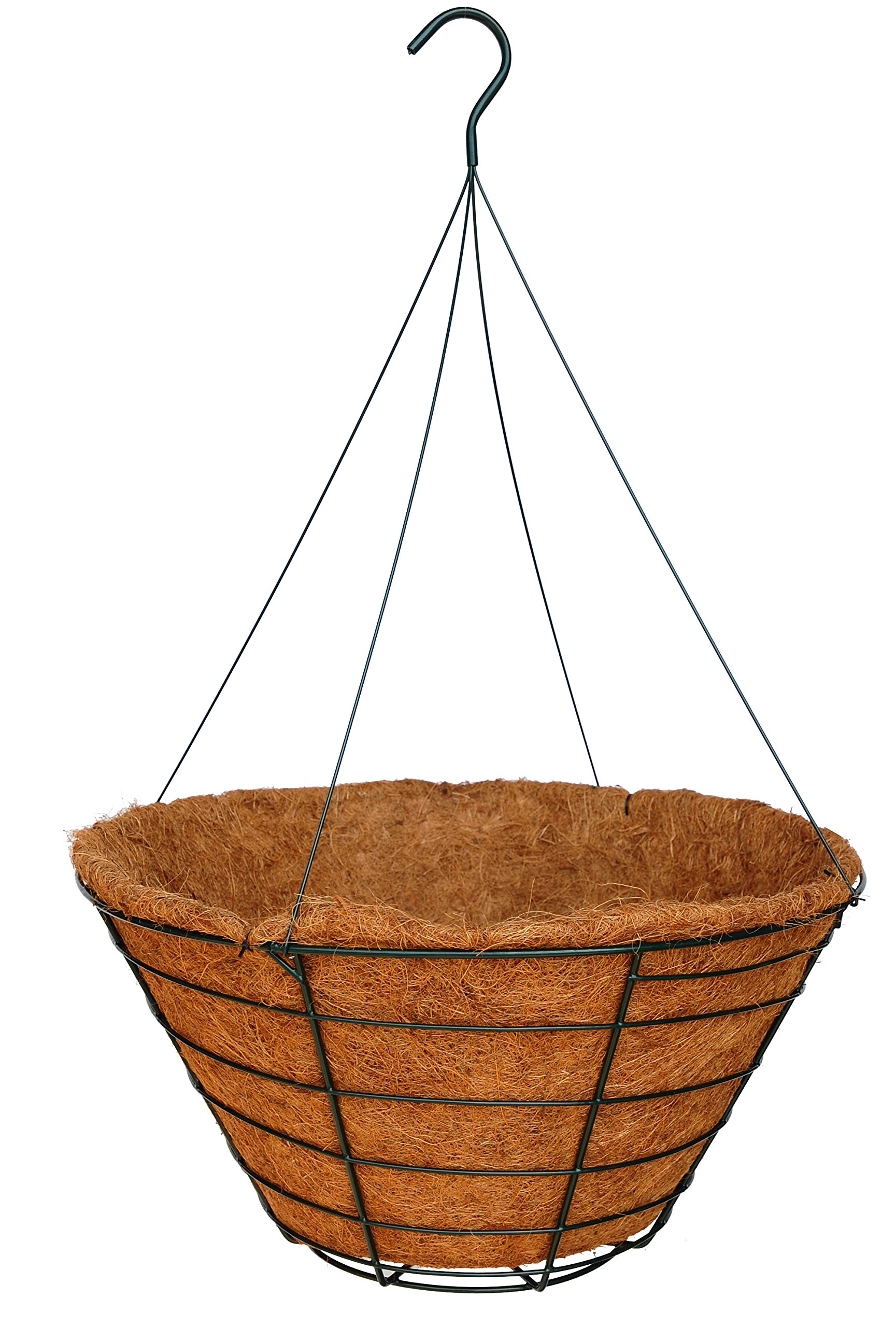 Amazon.com: Topiary Art Works 24